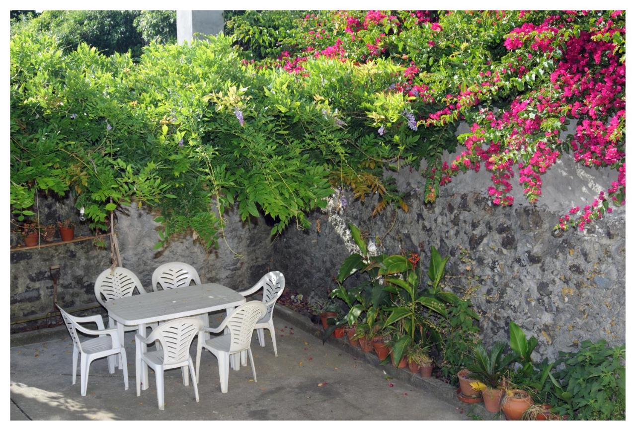 Casa Com Quinta Tradicional Villa Pico da Pedra Exterior photo